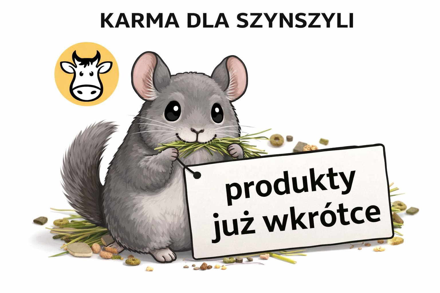 Karmy dla szynszyli